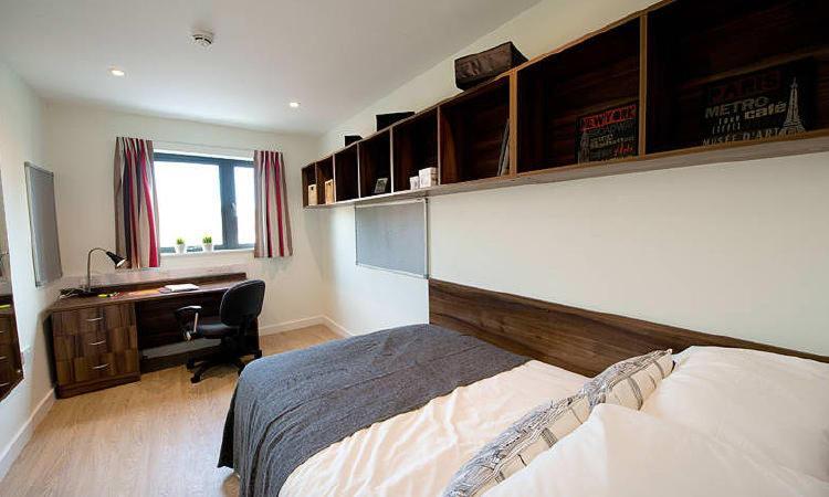 Zeni 3 Bed Apartment In Central Exeter Zewnętrze zdjęcie